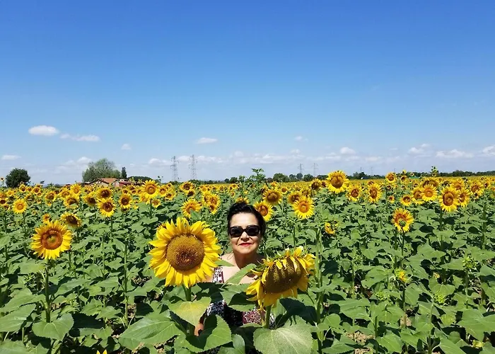 Apartment Casa Susina In The Heart Of Tuscany Cortona